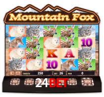 24bet,24bet.com